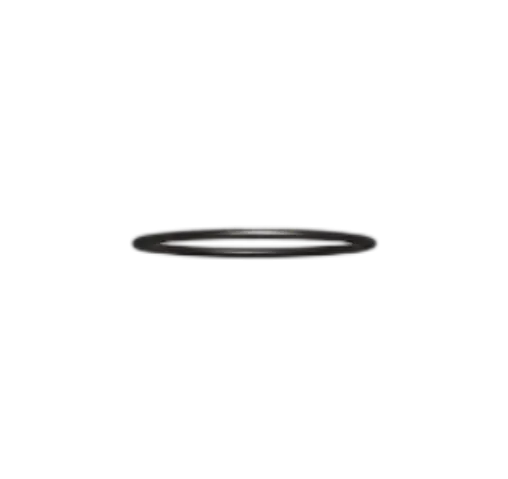 O Ring - Top Sub